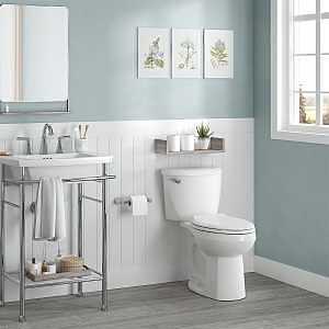 TOILET KIT WHITE ELONGATED BOWL - A.W. Graham Lumber LLC