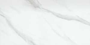 Main 2 - EMSER PORCELAIN TILE NOBLEZA ASTORGA 12x24 -