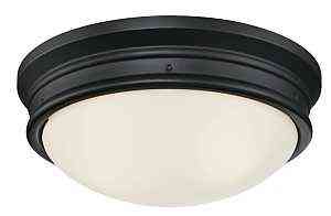 WESTINGHOUSE MEADOWBROOK CEILING FIXTURE MATTE BLACK - A.W. Graham Lumber LLC