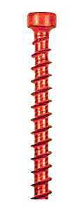 TRUSS SCREW KIT T30 6" BX/50 - A.W. Graham Lumber LLC
