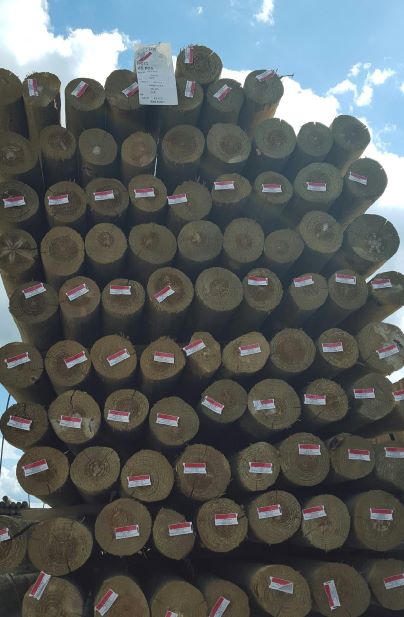 4" X 8' ROUND TREATED FENCE POST
CYLINDRICAL NON TAPERED POST 25
Yr Warranty Treated Red Pine    
       
   
Please Save End Tag as Proof of
Purchase for Warranty - A.W. Graham Lumber LLC
